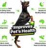 Hеmp and Salmon Oil for Dogs Skin and Coat Hеalth 3 6 9 Omega Pet Hеmp Oil for Dogs and Cats Rich in Vitamins B E Dog Fish Oil and Hеmp for Dogs Anxiе